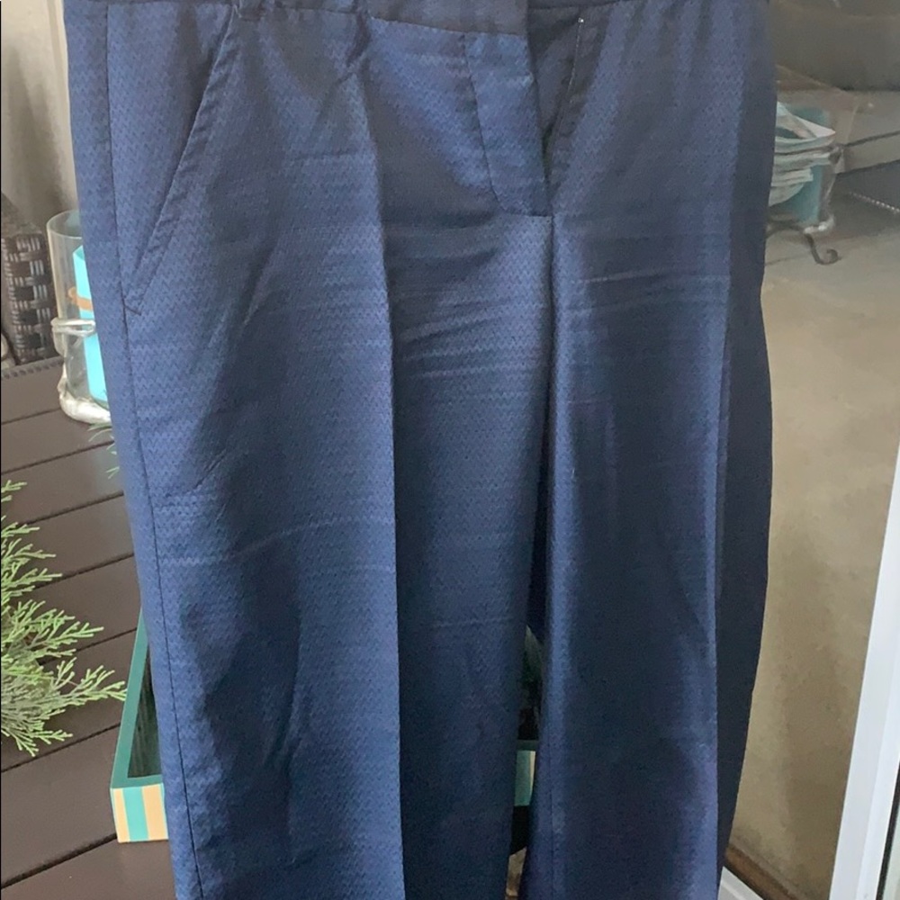 Max Studio Pants